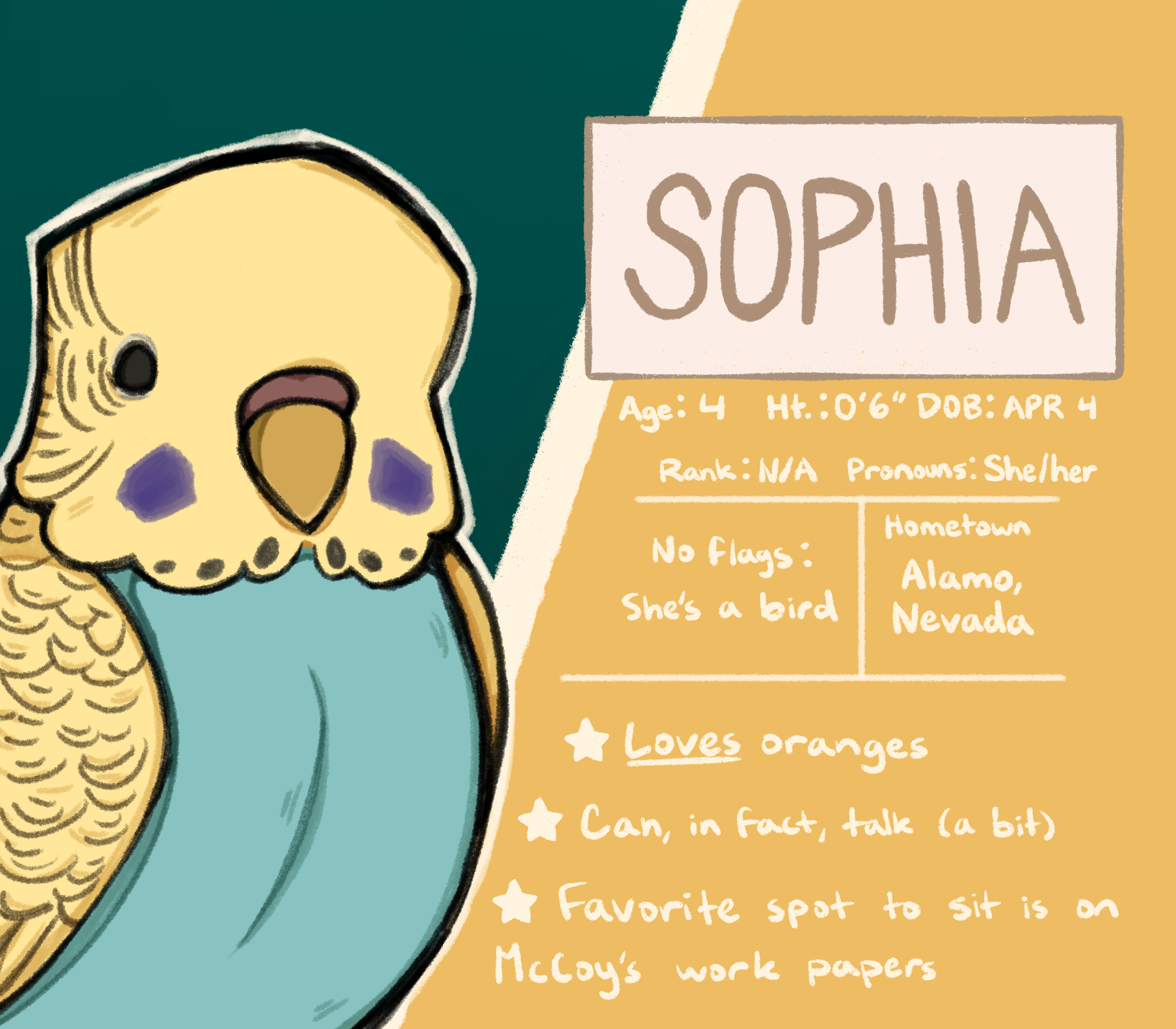 A character bio for Sophia. Age: 4, Height: 0'6, Date of Birth: April 4. Rank: N/A, Pronouns: She/her. Sophia is a budgie bird. Her hometown is Alamo, Nevada. Fun facts include: She loves oranges, she can, in fact, talk (a bit), and her favorite place to sit is on McCoy's work papers.